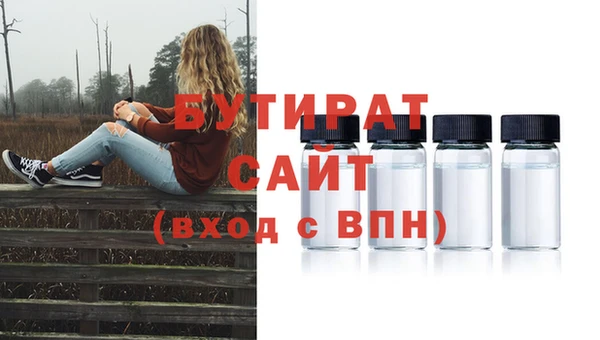 шишки Инта