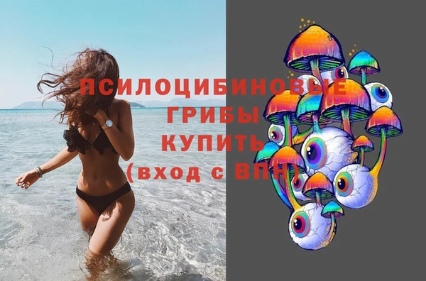 бутират Елабуга