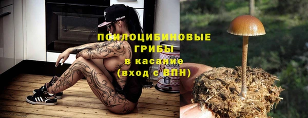 эйфоретик Заводоуковск