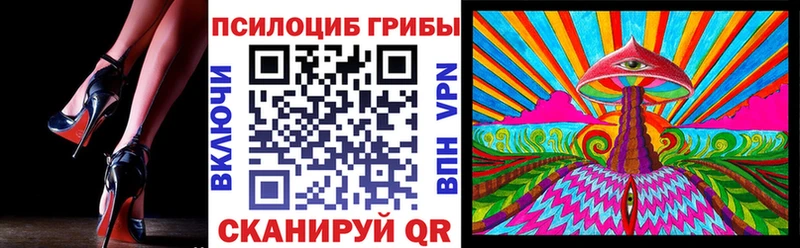 Купить  Сурск  Галлюциногенные грибы GOLDEN TEACHER 