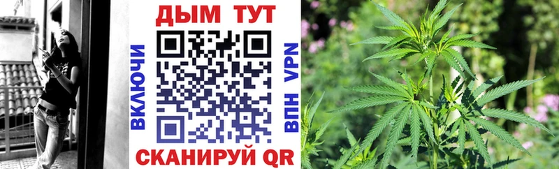 Бошки марихуана индика  Купить закладки  Сурск 